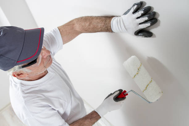 Wallpaper Removal and Painting in American Canyon, CA